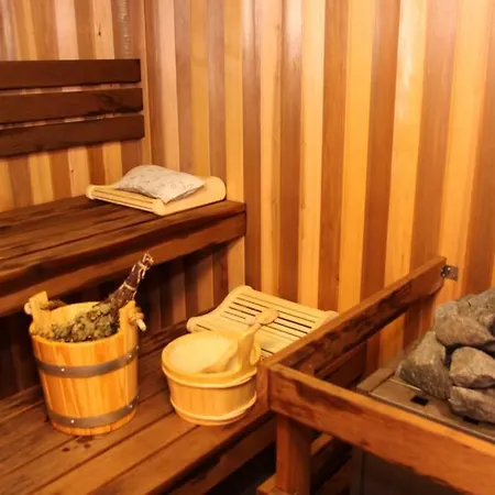 Apartment 3 Z Moderne Wellnesswohnung - Sauna, Kamin, Parkplatze 65m2 Bis 6 Per Munich